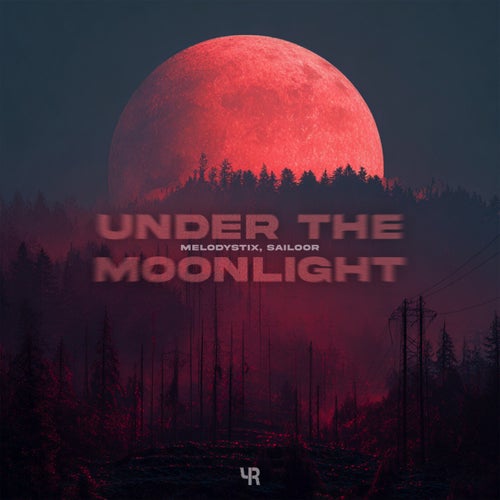 Under The Moonlight