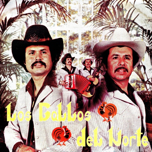 Los gallos del norte