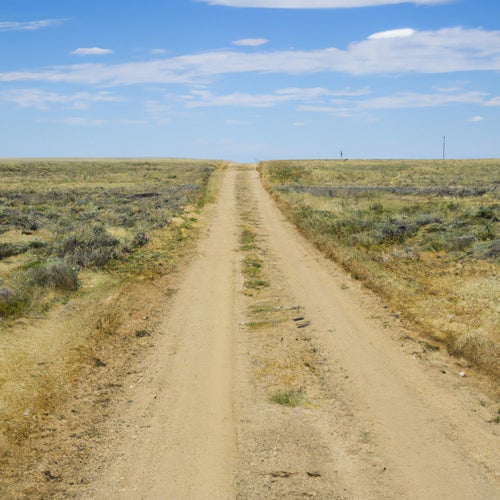 oregon trail
