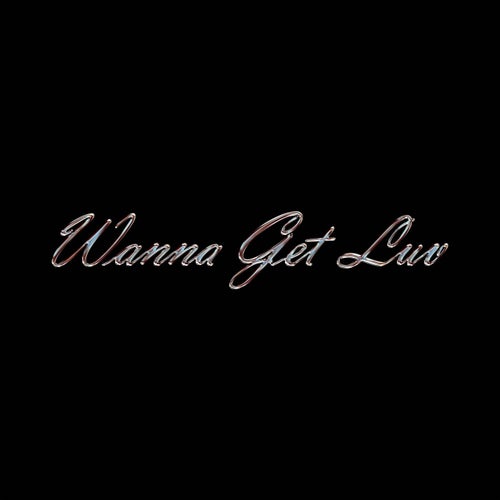 Wanna Get Luv