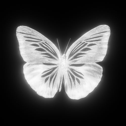 MARIPOSA