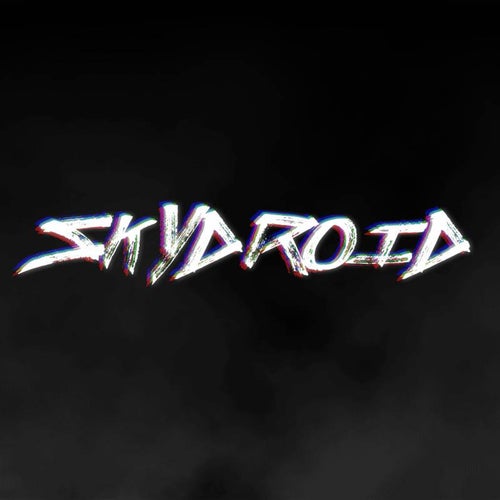 Skydroid Profile