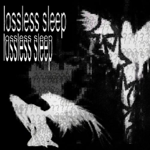 Lossless Sleep