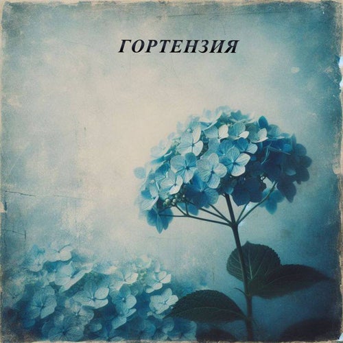 ГОРТЕНЗИЯ