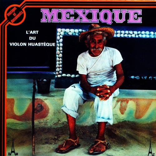 Mexique, l?art du violon husteque