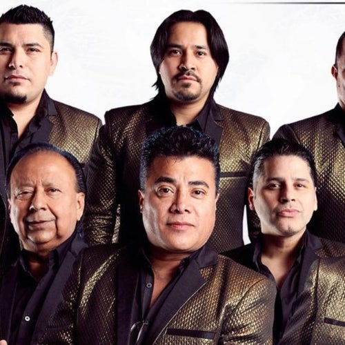 Liberación Profile