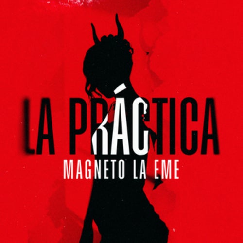 La Práctica