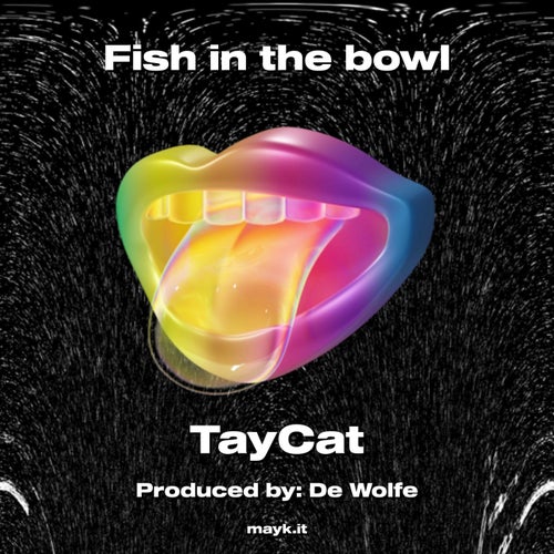 Fish in the bowl
