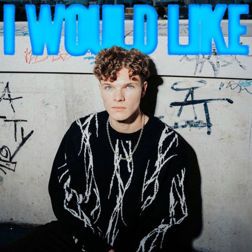 I Would Like (Extended Mix)