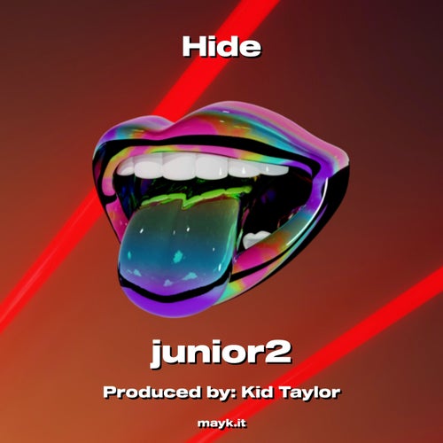 Hide