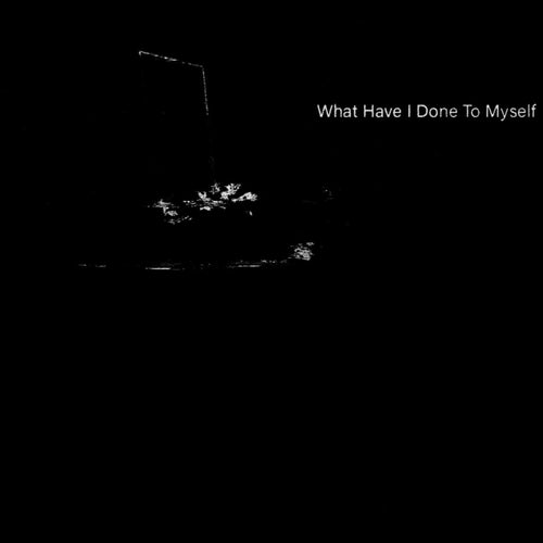 WHATHAVEIDONETOMYSELF