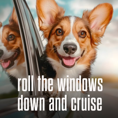 roll the windows down and cruise