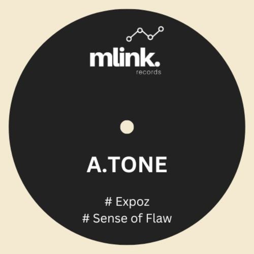 Expoz-Sense Of Flaw