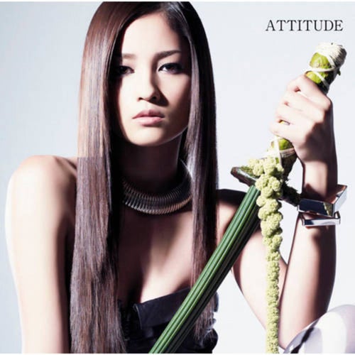 ATTITUDE