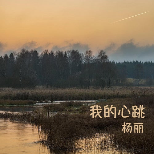 我的心跳