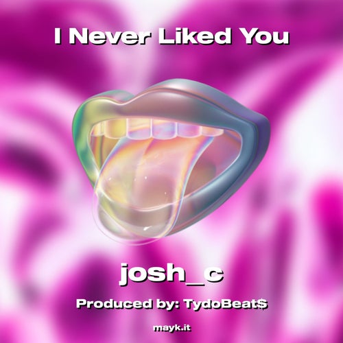 I Never Liked You