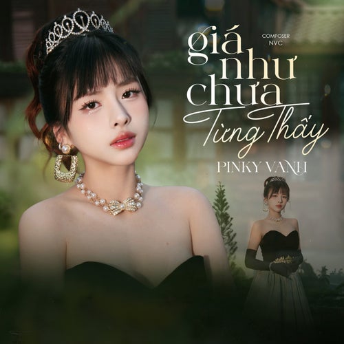 Giá Như Chưa Từng Thấy