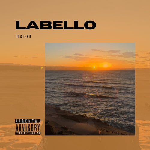 Release of the week