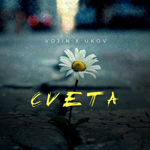 Cveta