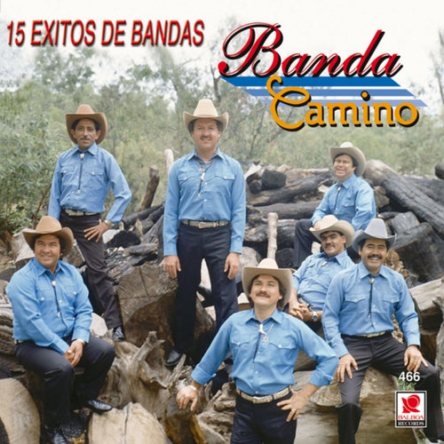 15 Éxitos De Bandas by Banda Camino on Beatsource