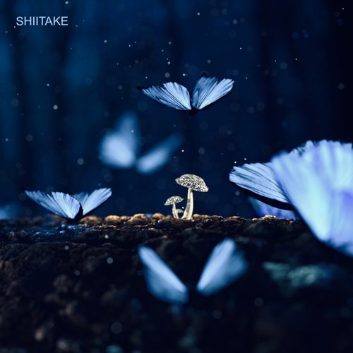 Hyphae