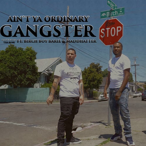 Ain't Ya Ordinary Gangster (feat. Birch Boy Barie & Maddhatter)