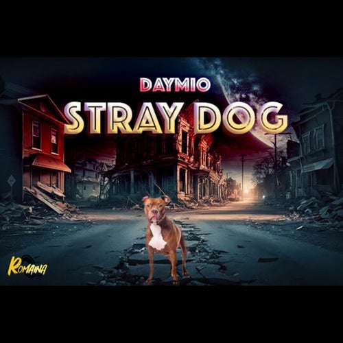 Stray Dog