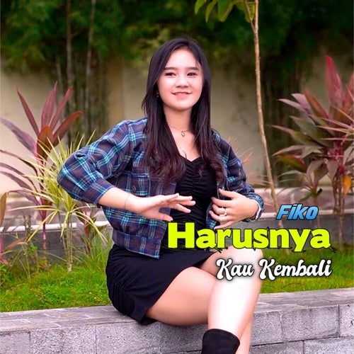 Harusnya Kau Kembali