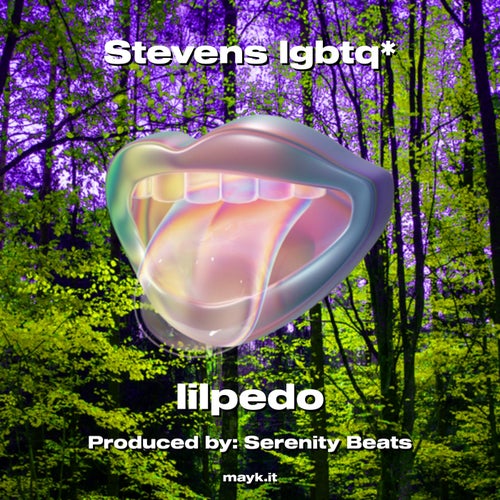 Stevens lgbtq