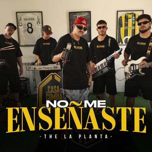 No Me Enseñaste