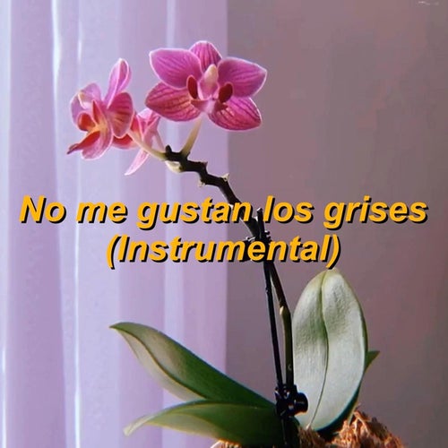 No me gustan los grises (Instrumental)