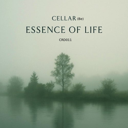 Essence of Life