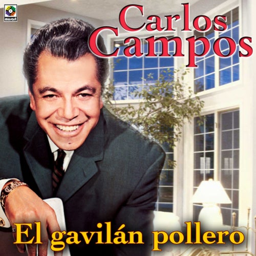 El Gavilán Pollero