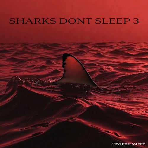 Sharks Dont Sleep 3