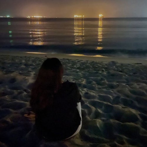 To The Moon, Fly Me Soon