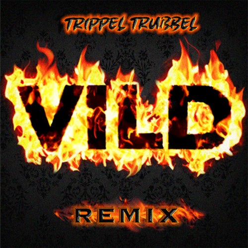 VILD REMIX