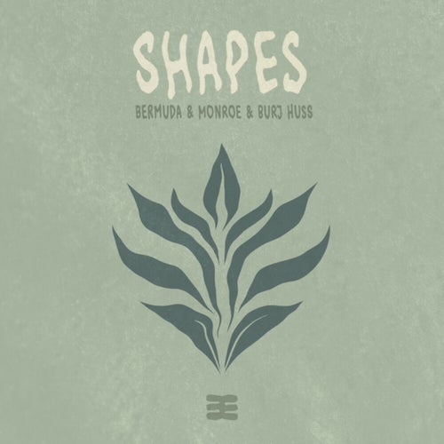 Shapes