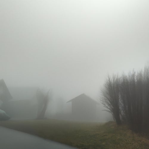 Fog