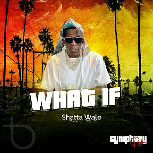 What If (Symphony Riddim)