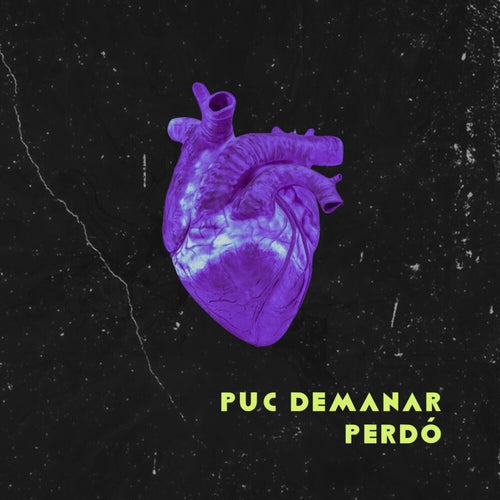 Puc Demanar Perdó