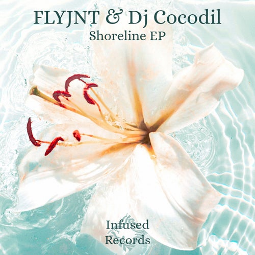 Shoreline EP