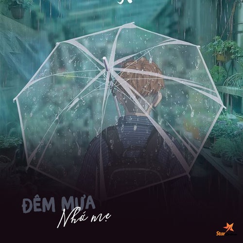 Đêm Mưa Nhớ Mẹ
