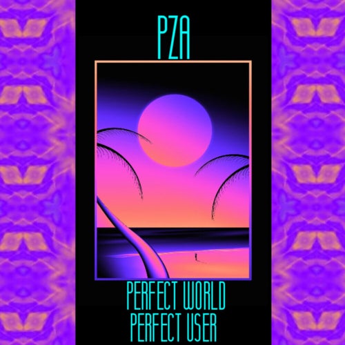 PERFECT WORLD PERFECT USER