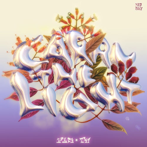 Carry The Light (Extended Mix)