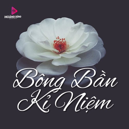 Bông Bần Kỉ Niệm