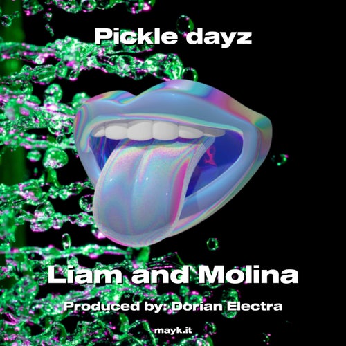 Pickle dayz