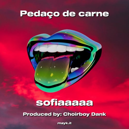 Pedao de carne