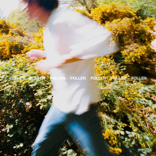 Pollen
