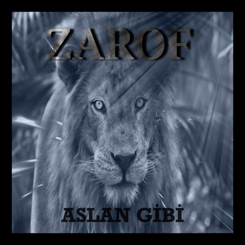 Aslan Gibi