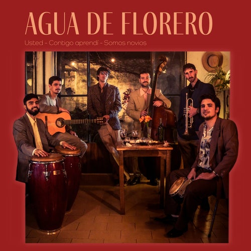 Usted / Contigo aprendí / Somos Novios